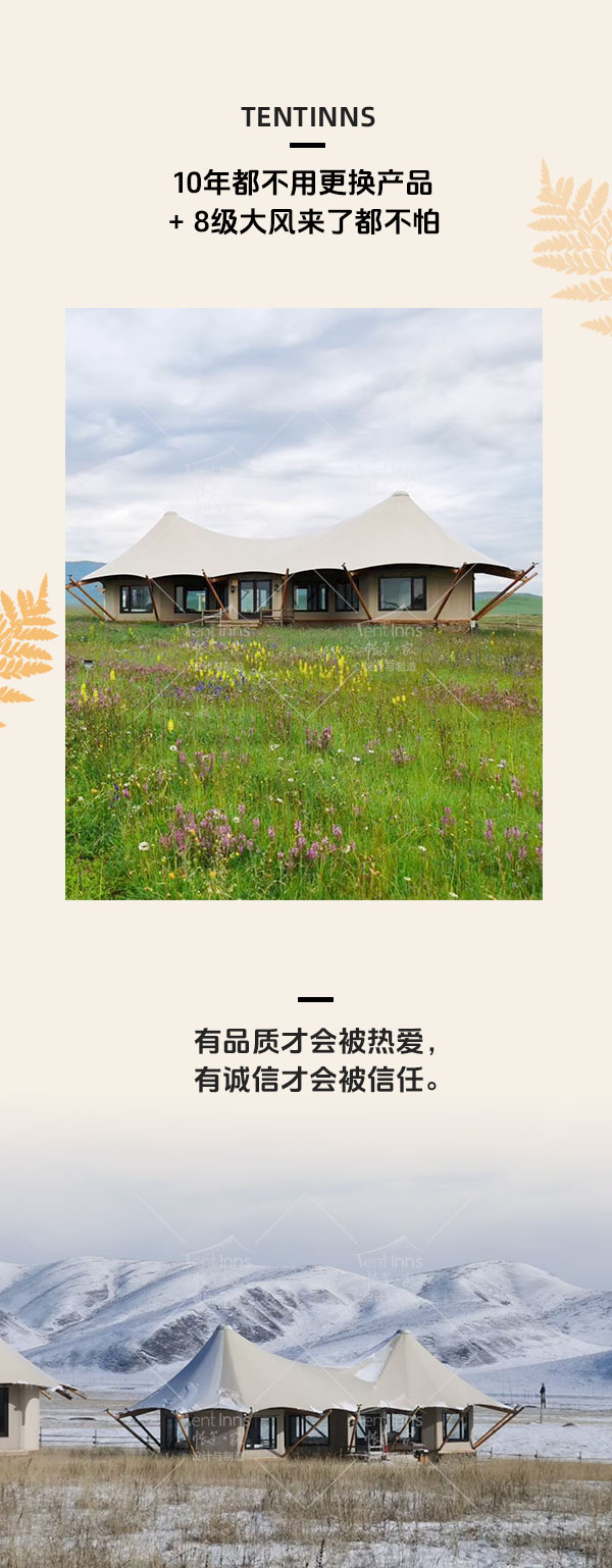 帐篷王款_03.jpg